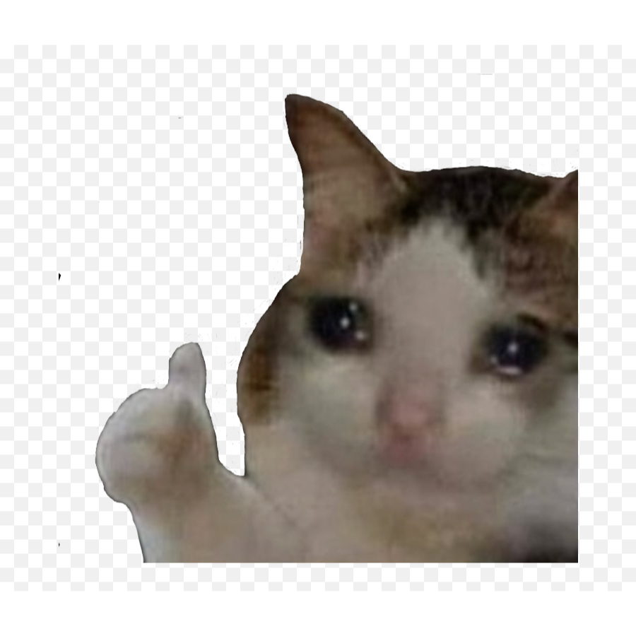 No Shipping Required