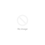 Bears Only logo